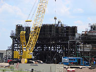 plant dismantlement content image 2
